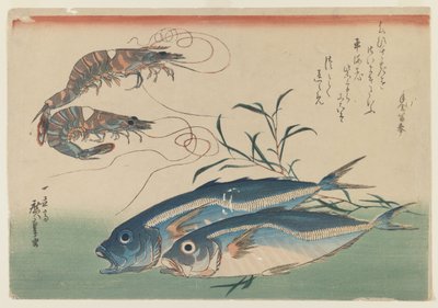 Two Shrimp with Two Horse Mackerel by Ando or Utagawa Hiroshige