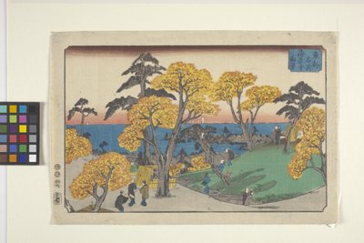 Views Of Yedo by Ando or Utagawa Hiroshige