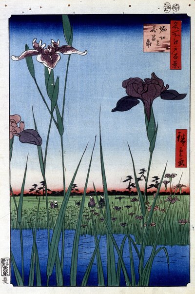 Water Iris - Japanese print by Utagawa Hiroshige. One hundred views of Edo by Ando or Utagawa Hiroshige