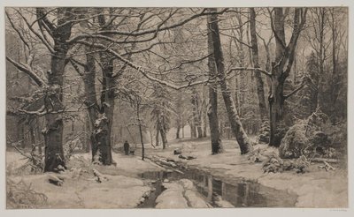 Winter Day in a Forest by André Bork