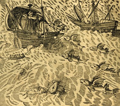 Flying Fish in Tropical Seas, Engraving from Cosmographie Universelle by Andre Thevet by Andre Thevet