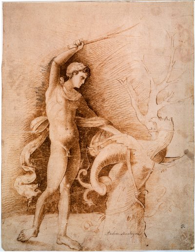 Young Man Fighting the Dragon by Andrea Mantegna