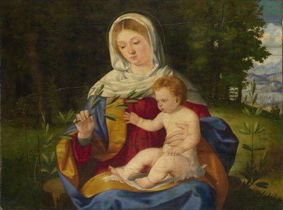 The Virgin and Child with a Shoot of Olive by Andrea Previtali