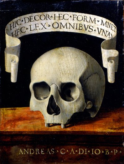 Portrait of a Man - Memento Mori by Andrea Previtali called Cordeliaghi