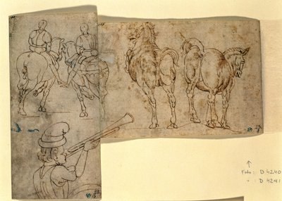 Sketch of Horses, c. 1460-70 by Andrea Verrocchio
