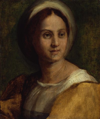 Portrait of a Young Woman by Andrea del Sarto