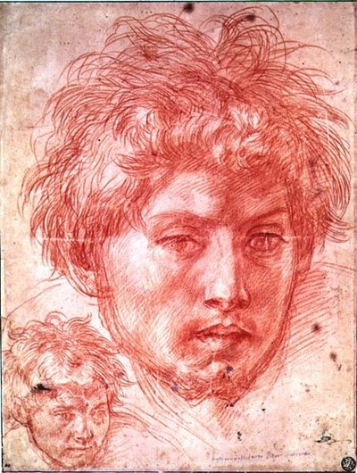 Head of a Man by Andrea del Sarto