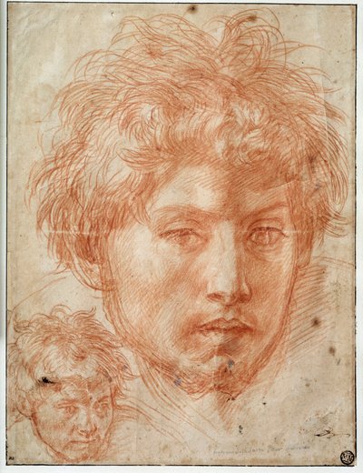 Head of man by Andrea del Sarto
