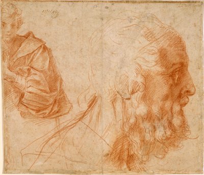 A youth and the head of an old man (Homer?) by Andrea del Sarto