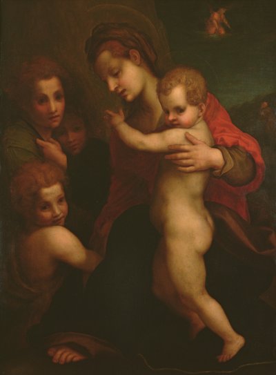 Madonna and Child, St. John and two Angels by Andrea del Sarto