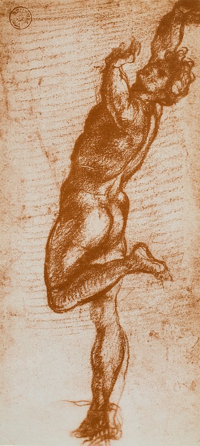 Male Figure by Andrea del Sarto