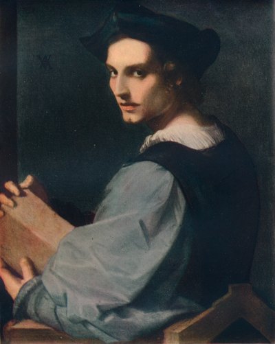 Portrait of a Young Man by Andrea del Sarto