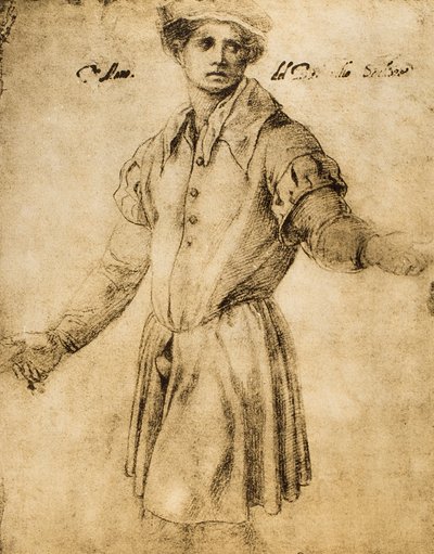 Portrait of a Young Florentine by Andrea del Sarto