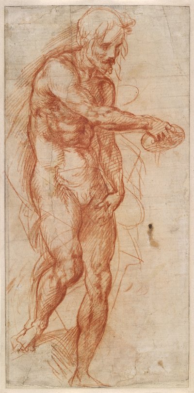 Saint John the Baptist Study by Andrea del Sarto