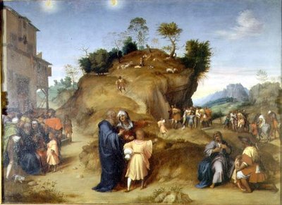 Scenes from the Infancy of St. Joseph by Andrea del Sarto
