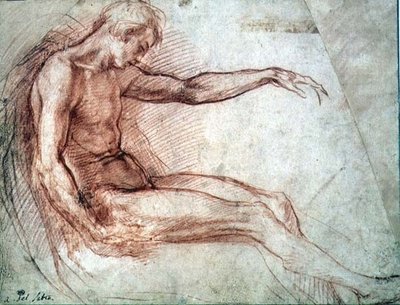 Seated Male Nude by Andrea del Sarto