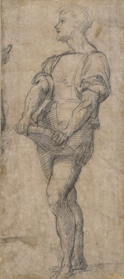 Standing youth holding a book, ca 1515 by Andrea del Sarto