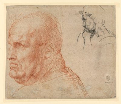 Study of Two Heads by Andrea del Sarto