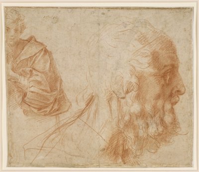 Study Sheet with a Young Man and the Head of an Old Man to the Right (Homer?) by Andrea del Sarto