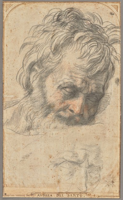 Study for the Head of Saint Joseph (recto); Two Studies of Legs (verso) by Andrea del Sarto