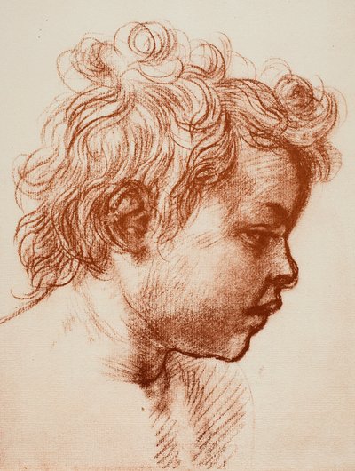Study for the Head of St. John (Child) of the Holy Family by Andrea del Sarto