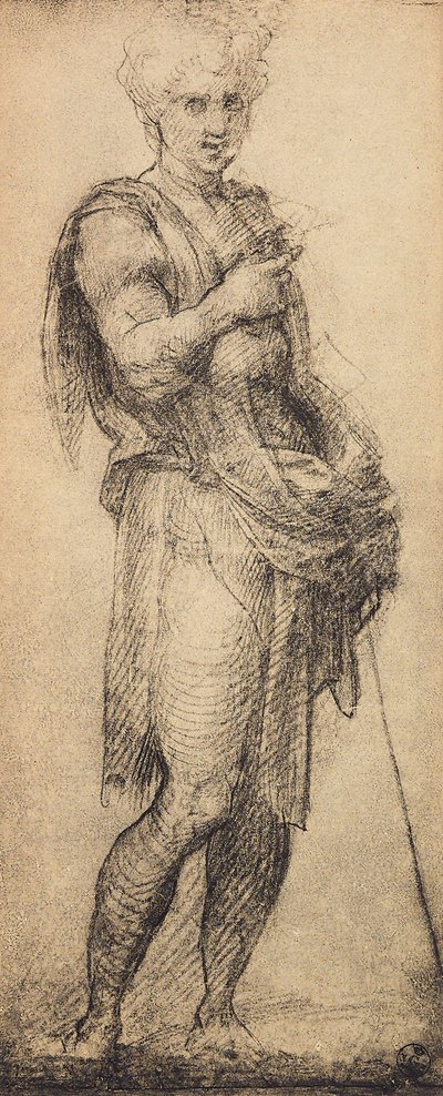 Study of a Male Figure by Andrea del Sarto