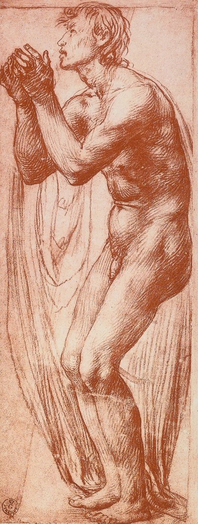 Study of a Male Figure by Andrea del Sarto