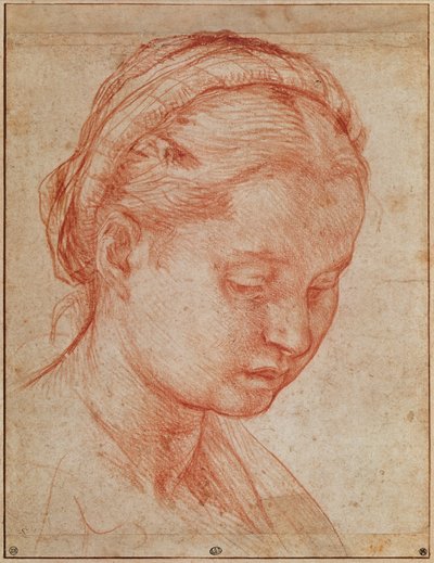 Study of the Head of St. Catherine for the Deposition with Virgin Mary and Saints at the Pitti Palace, 1523-24 by Andrea del Sarto