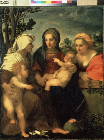 Virgin and Child with Saints Catherine, Elisabeth and John the Baptist by Andrea del Sarto