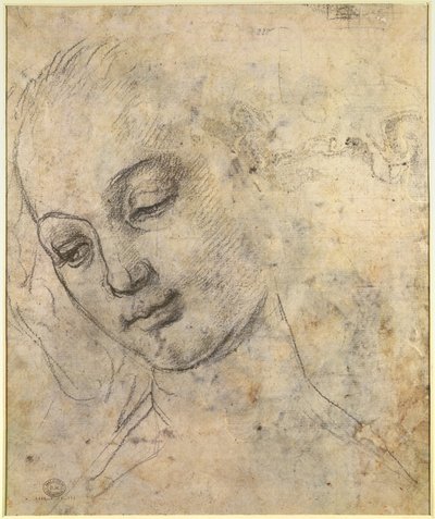 Portrait of a Female head by Andrea del Verrocchio