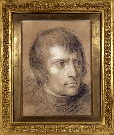 Napoleon Bonaparte, First Consul, in 1803 by Andrea the Elder Appiani