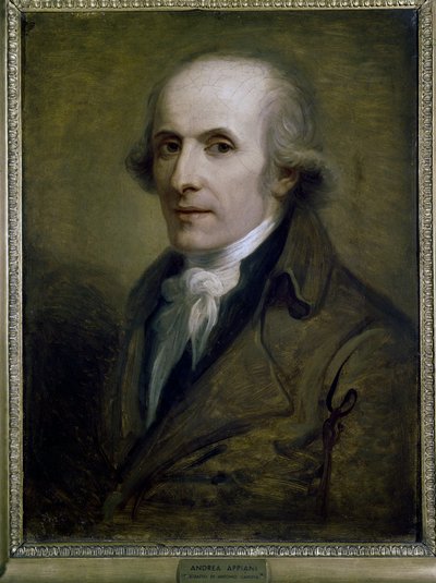 Portrait of the sculptor Antonio Canova by Andrea the Elder Appiani