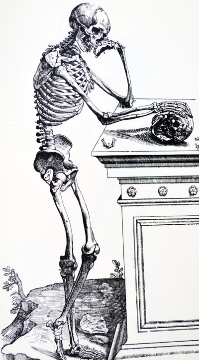 Human Skeleton with Skull in Hand. From 