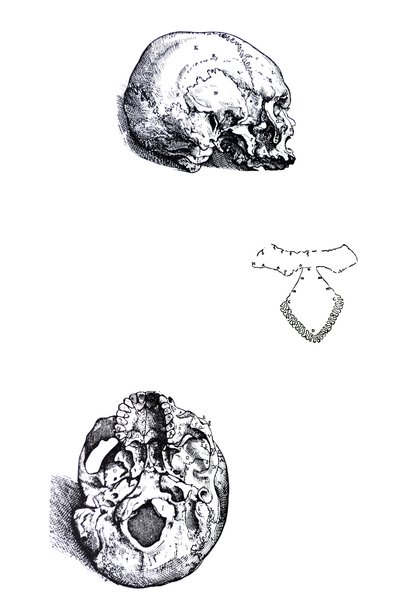 The Plates from the First Book of the De Humani Corporis Fabrica by Andreas Vesalius
