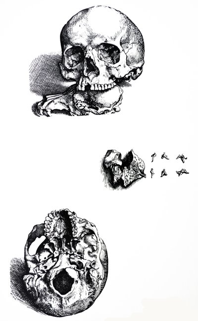 The Plates from the First Book of the De Humani Corporis Fabrica by Andreas Vesalius