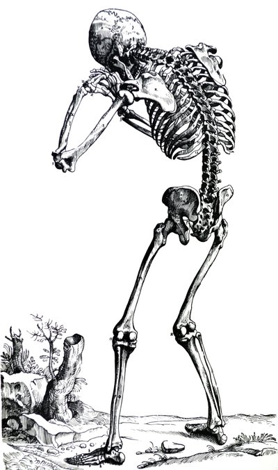 The Plates from the First Book of the De Humani Corporis Fabrica by Andreas Vesalius
