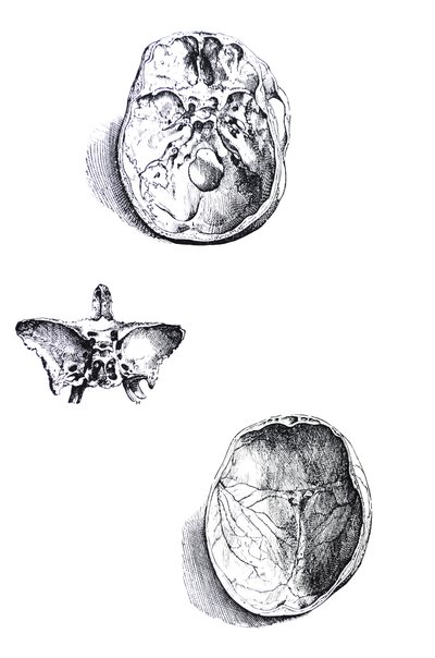 The Plates from the First Book of the De Humani Corporis Fabrica by Andreas Vesalius