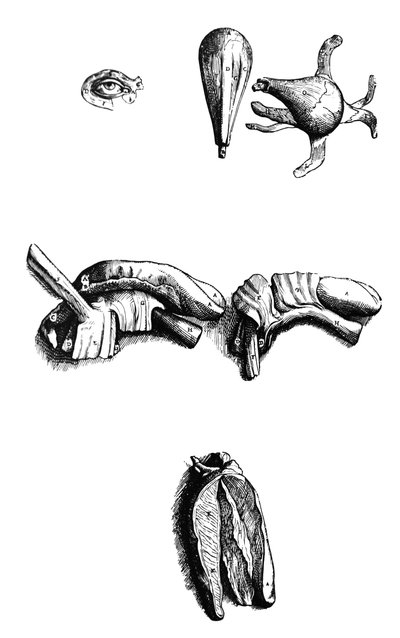 The Plates from the Second Book of the De Humani Corporis Fabrica by Andreas Vesalius