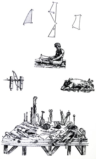 The Plates from the Second Book of the De Humani Corporis Fabrica by Andreas Vesalius