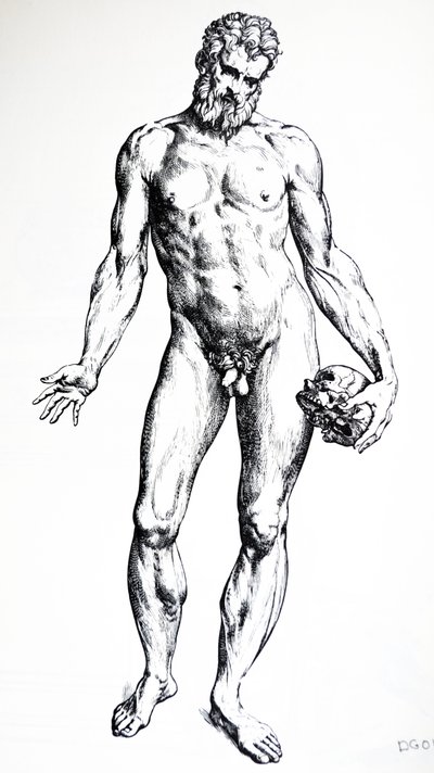 The Plates from the Seventh Book of the De Humani Corporis Fabrica by Andreas Vesalius