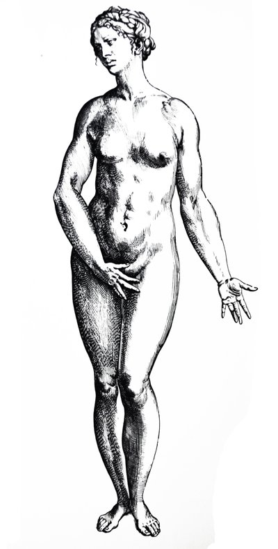 The Plates from the Seventh Book of the De Humani Corporis Fabrica by Andreas Vesalius