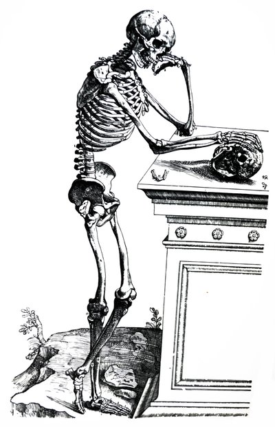 The Plates from the Seventh Book of the De Humani Corporis Fabrica by Andreas Vesalius