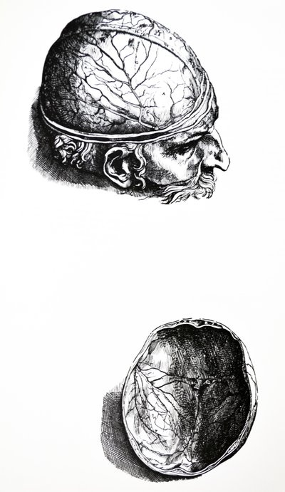 The Plates from the Seventh Book of the De Humani Corporis Fabrica by Andreas Vesalius