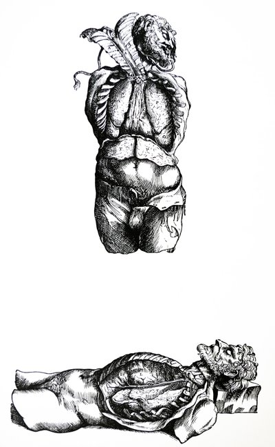 The Plates from the Sixth Book of the De Humani Corporis Fabrica by Andreas Vesalius