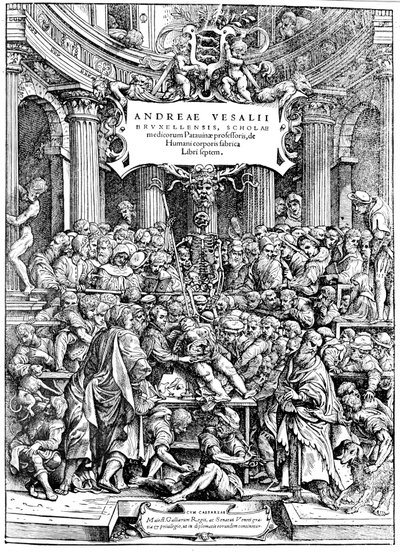 Title page of Andreas Vesalius De Humani Corporis Fabrica, showing Vesalius dissecting body by Andreas Vesalius