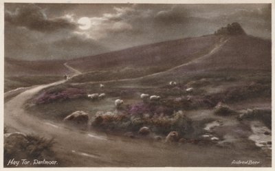 Hay Tor, Dartmoor by Andrew Beer