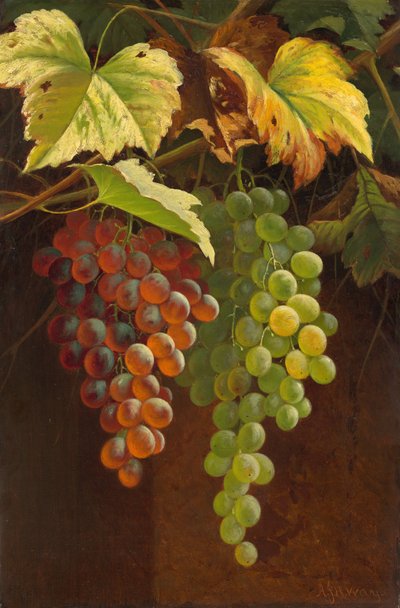 Two Bunches of Grapes by Andrew John Henry Way