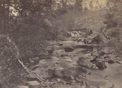 Arlington Mills, 1863 by Andrew Joseph Russell