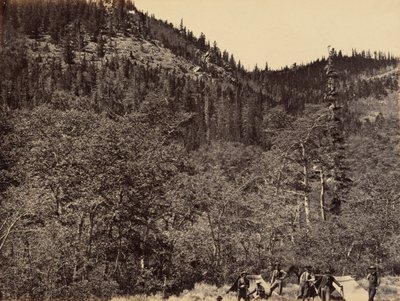 Plate 19. Among the Timber at Head of Little Laramie River, 1869 by Andrew Joseph Russell