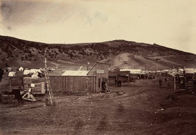 Plate 29. Bear River City, Near the Coal Fields, 1869 by Andrew Joseph Russell